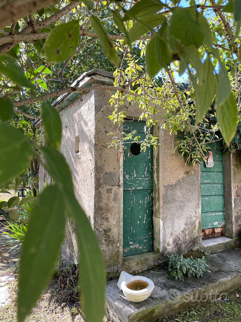 Terreno Versilia - Vista 2