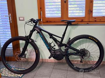 Specialized Turbo Levo (Fine 2019)  -