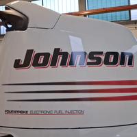 Johnson 140 4t XL