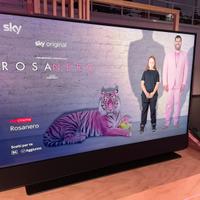 Sky Glass 65" perfettamente funzionante