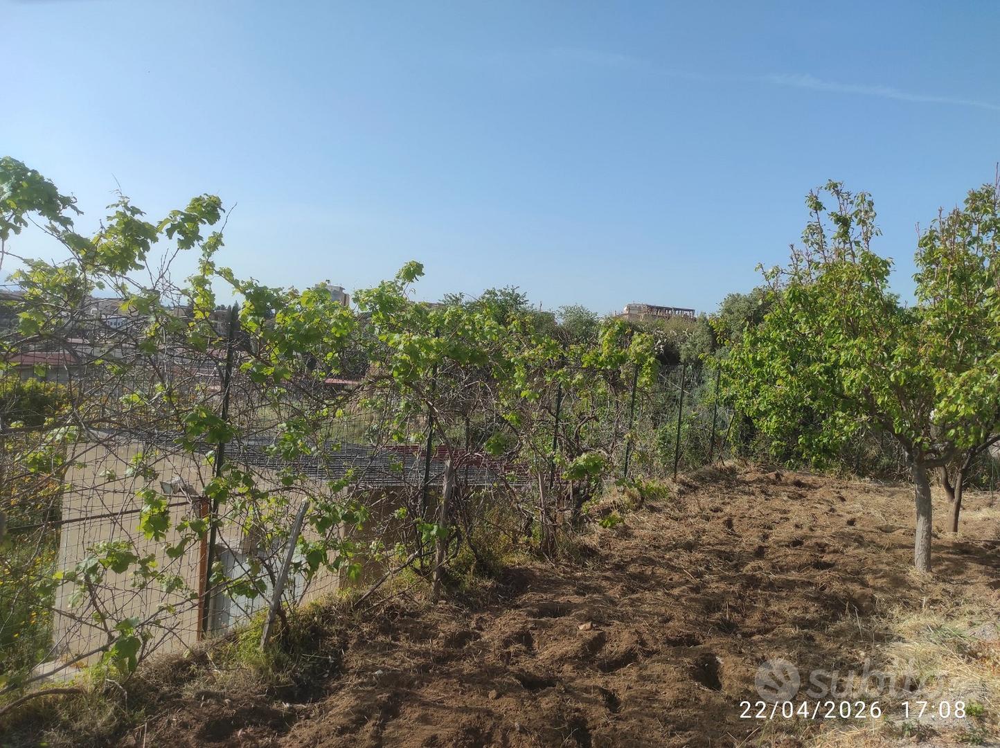 Terreno agricolo a Reggio Calabria - Altro