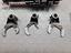 Immagine 13