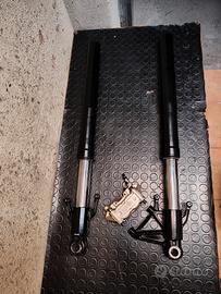 Forcella Radiale Aprilia rs 125