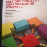 Gestione progetto. Organizzazione d'impresa