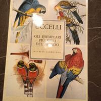 Libro degli uccelli