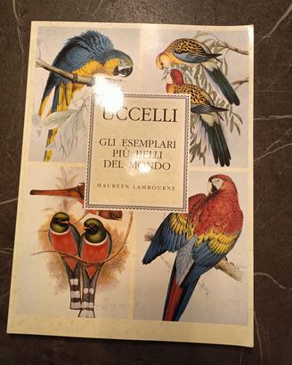 Libro degli uccelli