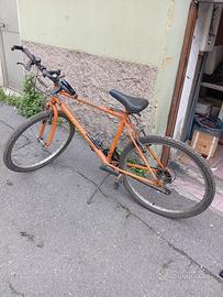 Biciclette mtb