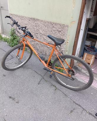 Biciclette mtb