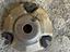 Immagine 6