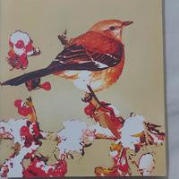 il buio oltre la siepe 