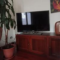 televisione
