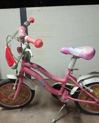 bicicletta raggio 16