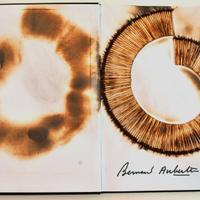 Opera unica BERNARD AUBERTIN IL FUOCO E IL ROSSO