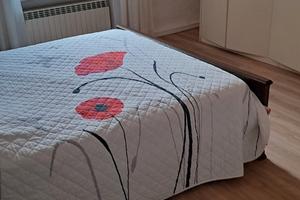 Camera a Castel San Giovanni Piacenza