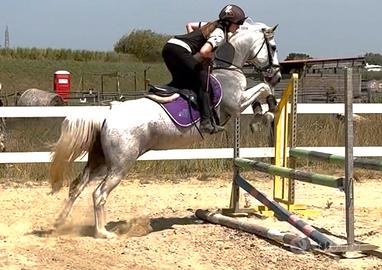 Pony 148cm 11 anni per brevetto