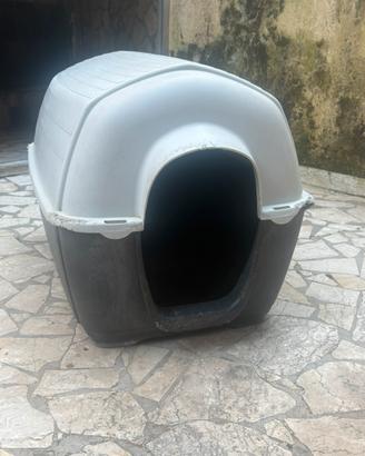 cuccia per cani taglia media