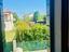 Immagine 19