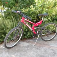 Mountain bike