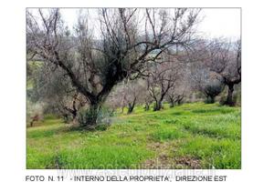 Terreno Agricolo Artena [A4298015]