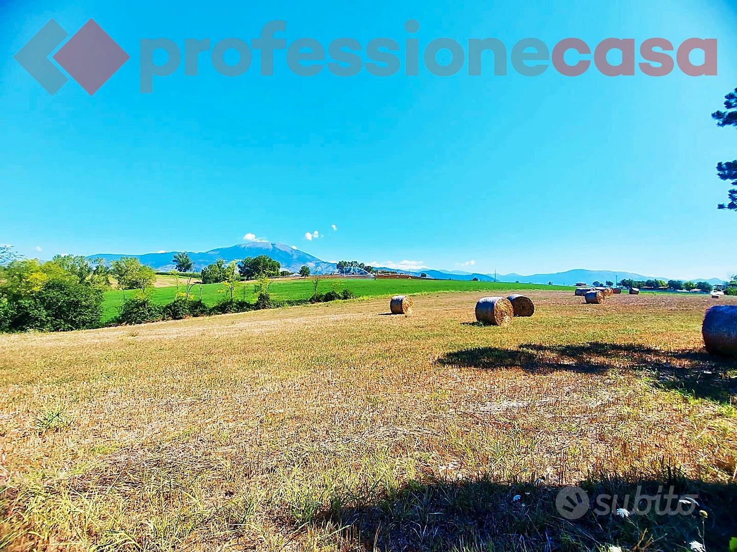 Terreno agricolo - Altro