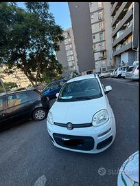 panda 1,3 