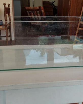 Vasca per pesci/tartarughe
