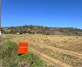 TERRENO AGRICOLO in OT TIMA POSIZIONE