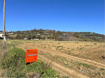 TERRENO AGRICOLO in OT TIMA POSIZIONE