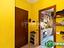 Immagine 9