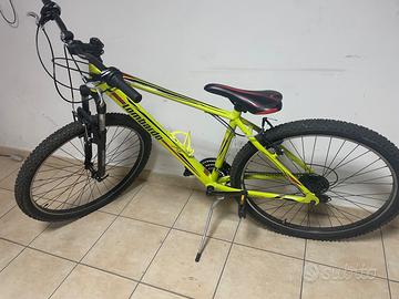 Bicicletta