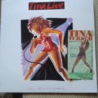 Biglietto concerto+Disco Vinile Tina Turner 