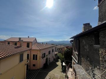 Palestrina: appartamento piano terra con vista pan