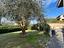 Immagine 29
