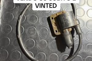 Bobbina vespa