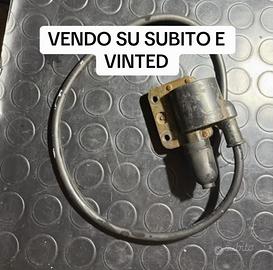 Bobbina vespa