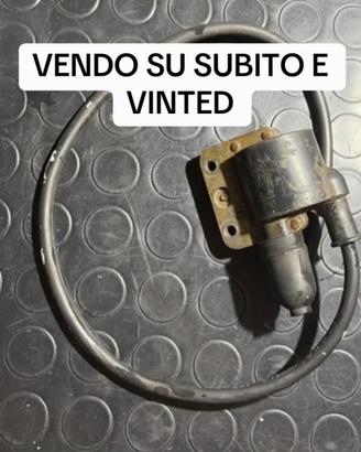 Bobbina vespa