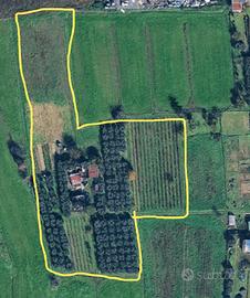terreno agricolo a  Cascina Marciana
