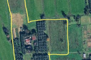 terreno agricolo a  Cascina Marciana