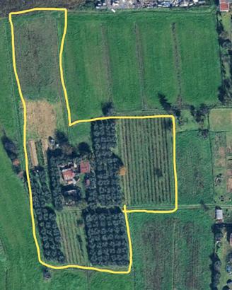 terreno agricolo a  Cascina Marciana