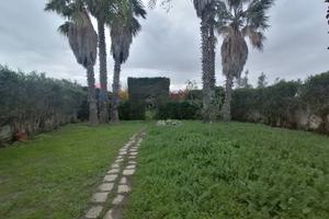 Villa o villino - Comiso