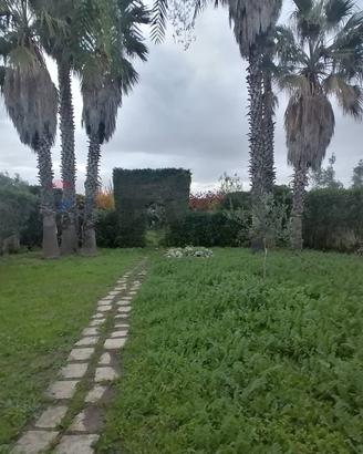 Villa o villino - Comiso