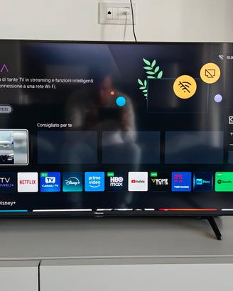 TV Hisense 4K 43 pollici