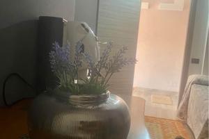 Monolocale mare sibari