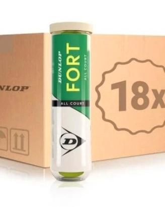 Cartone Palline Tennis Dunlop Fort All Court
