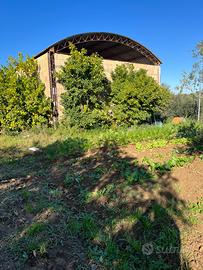 CEPAGATTI ( PE ) Terreno con capannone 6500
