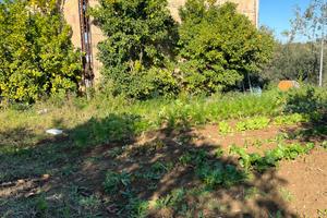 CEPAGATTI ( PE ) Terreno con capannone 6500