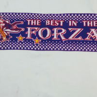 Sciarpa fiorentina calcio