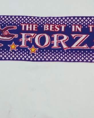 Sciarpa fiorentina calcio