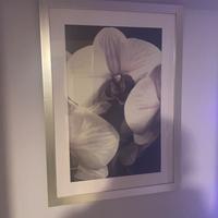 Quadro design con cornice acciaio