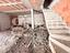 Immagine 25